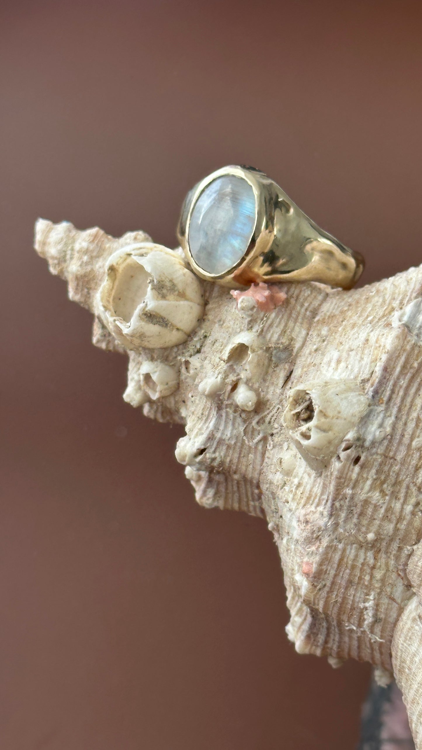 Moonstone Muse